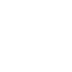 GLOBAL VILLAGE