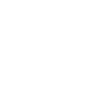 AHS PROPERTIES